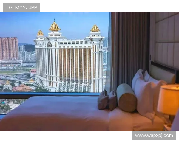 新葡京赌场：在豪华环境中尽情享受高端娱乐与极致的博彩乐趣