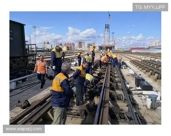 新葡萄娱乐城登录入口：确保账号安全的登录入口选择与注意事项