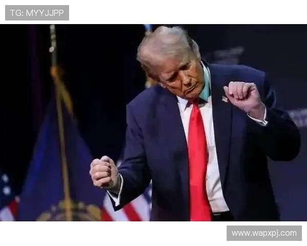 新普京网页版登录入口官方地址查询指南，轻松解决登录难题快速进入游戏世界