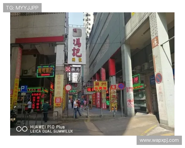 澳门葡京官网下载入口指南,帮助玩家快速顺利注册与登录平台 澳门葡京官网下载入口指南,帮助玩家快速顺利注册与登录平台