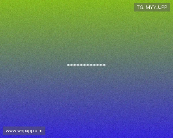 新葡京娱乐网站登录流程详解确保玩家快速安全进入游戏大厅