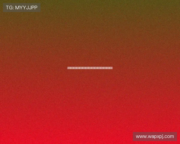 澳门娱乐城在线登录入口最新更新，确保玩家快速顺畅进入游戏世界